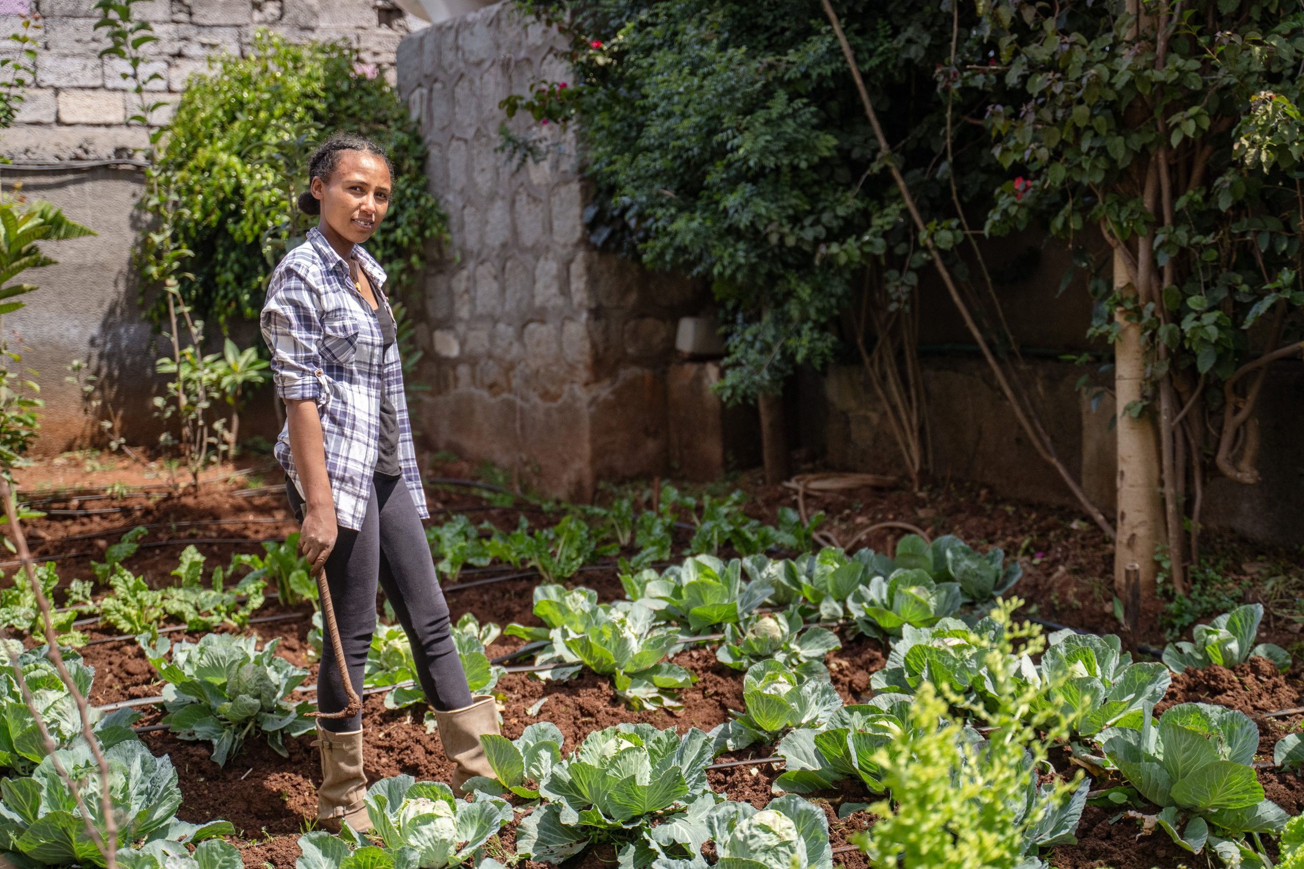 Green Scene Energy field engineering work in Ethiopia
